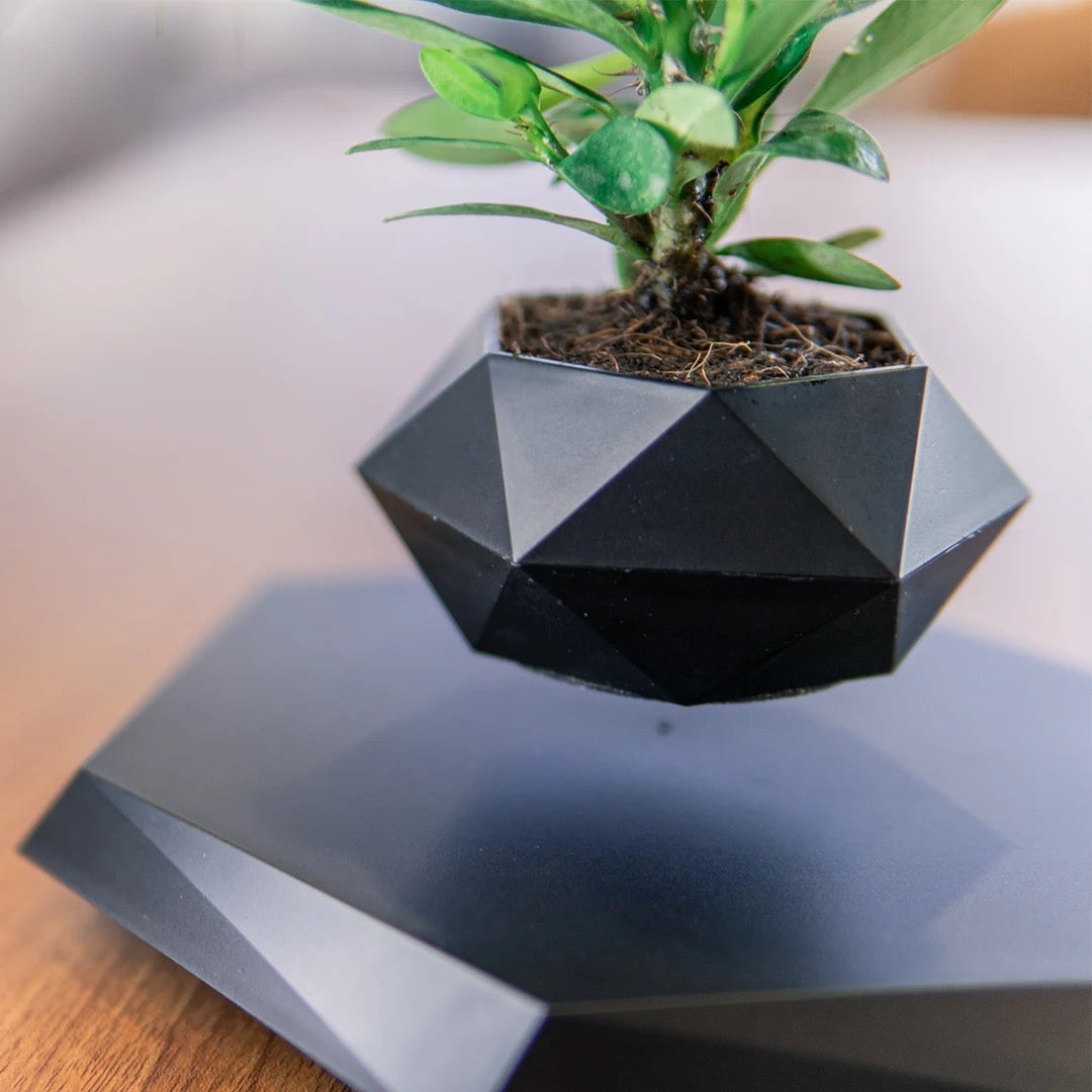 floating magnetic plant pot-Black (plant not included)